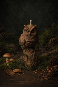 Nocturne de la Forêt Noire