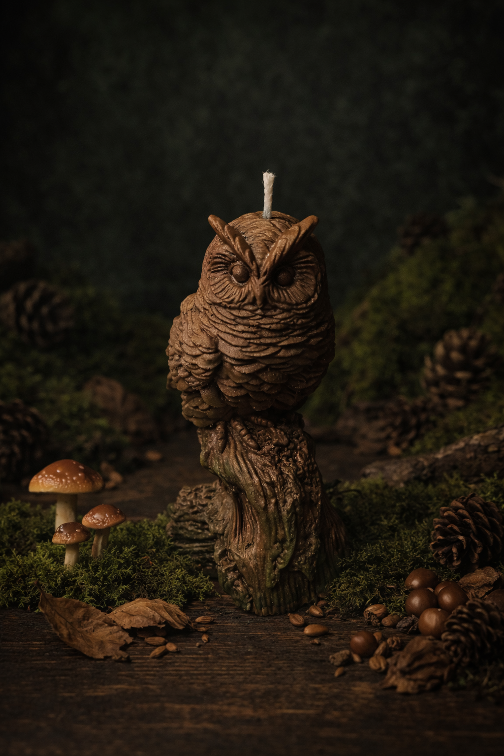Nocturne de la Forêt Noire